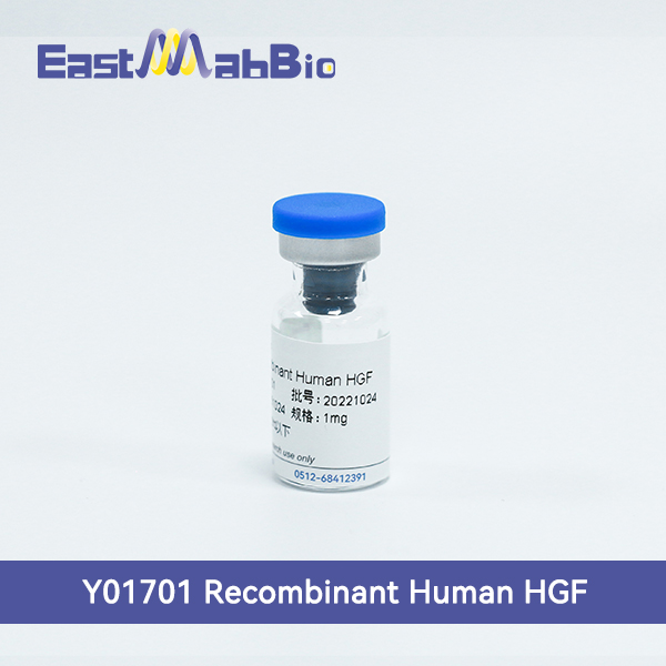 Y01701 Human HGF Jiangsu EastMab Biomedical Technology